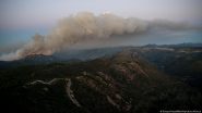 Spain: Firefighters Battle to Bring Wildfire Under Control