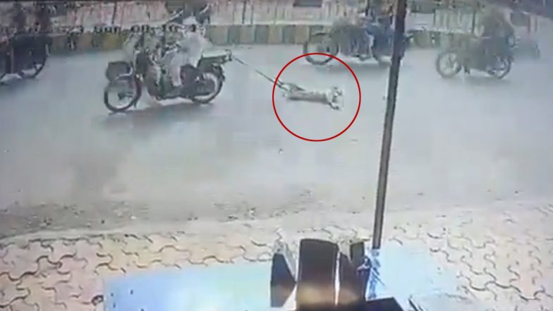 Animal Cruelty in Ghaziabad: Stray Dog Tied to Bike, Dragged For 2 Km; Accused Arrested After Disturbing Video Goes Viral