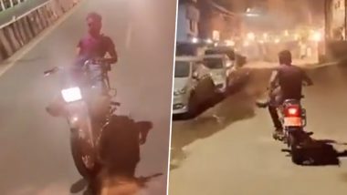 Uttar Pradesh: Man Performs Dangerous Stunts on Bike in Sitapur, Police Launch Probe After Video Goes Viral