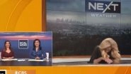 Alissa Carlson Schwartz, CBS Meteorologist, Collapses on Live TV, Video of Terrifying Moment Surfaces