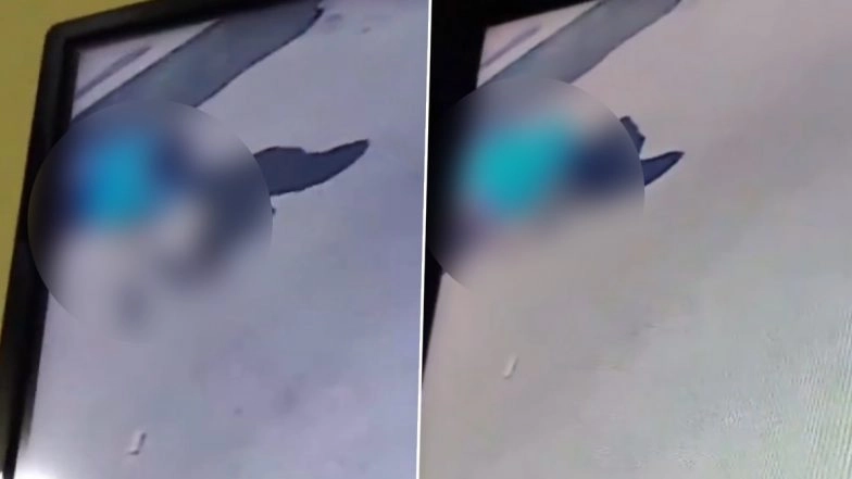 Stray Dog Raped in Bihar, Probe Launched