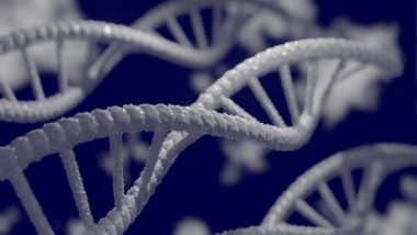 Science News | DNA Repair Discovery Could Improve Biotechnology: Research