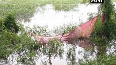 Maharashtra Rains: Farmers Suffer Losses Due to Unseasonal Rainfall Hits Nashik, Crops Damaged