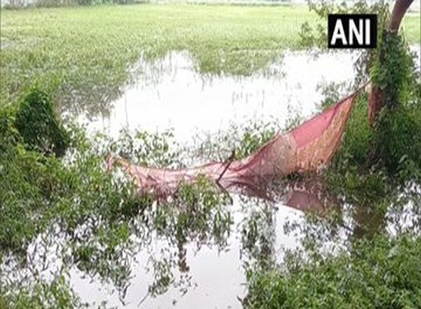 Maharashtra Rains: Farmers Suffer Losses Due to Unseasonal Rainfall Hits Nashik, Crops Damaged