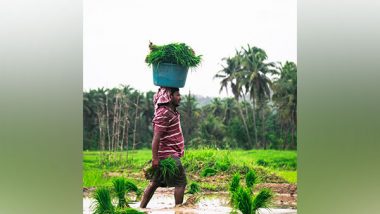 World News | Trashigang's Lephu Farmers Use Tarpaulin Pond Liners to Avert Water Shortage Issue