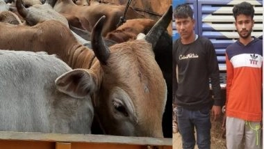 India News | Assam: Police Recover 24 Cattle Heads from Truck in Nagaon, 2 Arrested