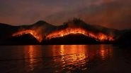 Science News | Smoke Particles from Wildfires Can Erode Ozone Layer: Research