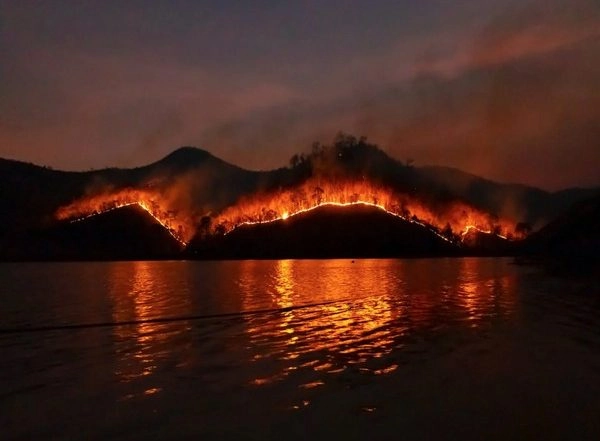 Science News | Smoke Particles from Wildfires Can Erode Ozone Layer: Research