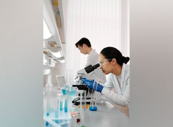 Science News | Study Finds Soft Gingiva Results in Inflammation, Hinders the Development of Gingival Fibers
