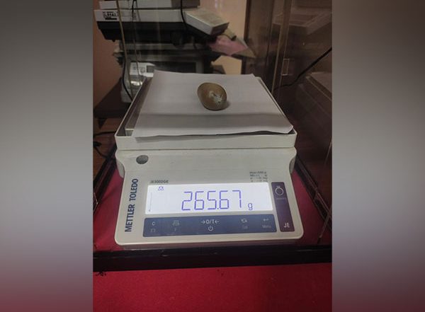 India News | Kerala: Customs Seize Gold Worth Rs 21.5 Lakh at Kochi Airport