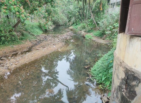 India News | Case Filed Against 7 Institutions in Kerala for Discharging Sewage into River Amid Cholera Scare
