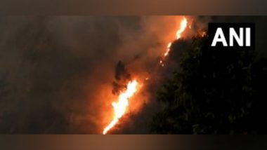 India News | Forest Fire Breaks out Near Kodaikanal Hills in Tamil Nadu's Dindigul
