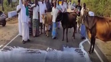 Tamil Nadu: Dairy Farmers in Erode Throw Milk on Road Demanding Increase in Procurement Prices (Watch Video)