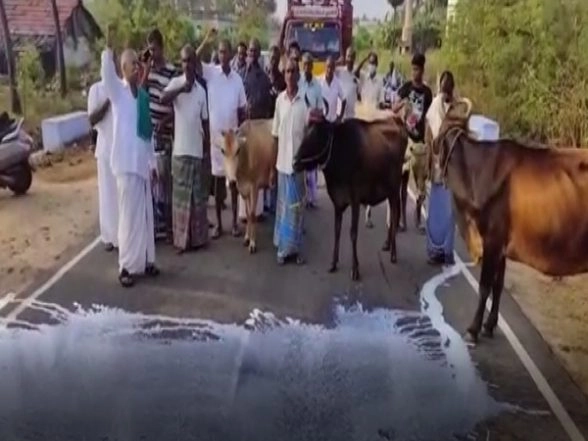 Dairy Farmers in Erode Throw Milk on Road Demanding Increase in Procurement Prices