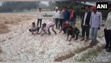 India News | Rain, Hail Lash Uttar Pradesh Districts, CM Yogi Takes Stock