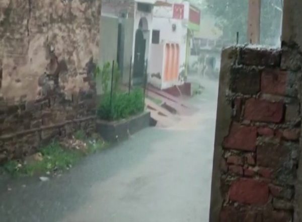 India News | Rain Damage Crops in Rajasthan's Alwar, Farmers Demand Compensation from Govt