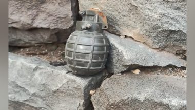 World News | Six Killed in Grenade Explosion in Afghanistan's Ghor Province