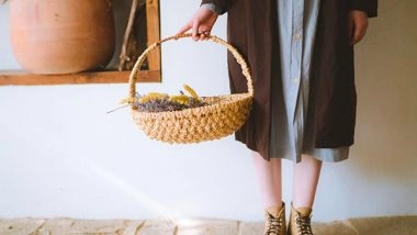 Business News | Crypto Investors Get Some Lessons from US Banks Fallout; Diversified Investments Are Always a Better Deal