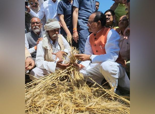 Farmers to Be Given Relief of Rs 32,000 A Hectare for Crop Loss of Over 50% Due to Hailstorm, Untimely Rains, Says Madhya Pradesh CM Shivraj Singh Chouhan