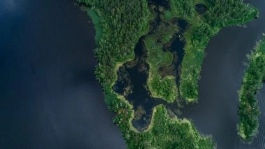 Environment News | Activity Deep Inside Earth Has an Impact on Global Magnetic Field