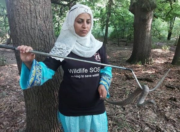 Alia Mir, First Woman Wildlife Rescuer in Jammu and Kashmir, Honoured with Wildlife Conservation Award