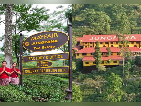 Business News | Mayfair Hotels & Resorts Acquires the Historic Jungpana Tea Garden - Vimarsana News