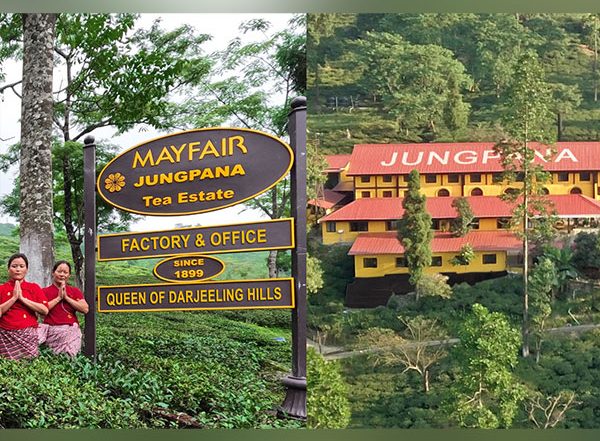 Business News | Mayfair Hotels & Resorts Acquires the Historic Jungpana Tea Garden