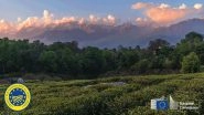 World News | Himachal Pradesh's Kangra Tea Gets European GI Tag