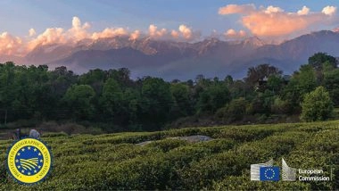 World News | Himachal Pradesh's Kangra Tea Gets European GI Tag