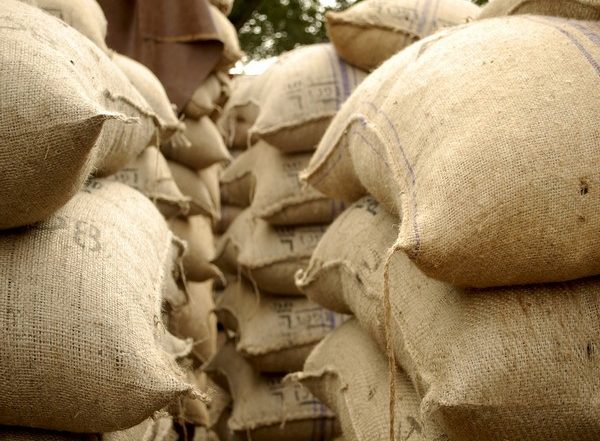 Pakistan: Several Injured in Stampedes as Free Flour Distribution Goes Awry in Punjab Province