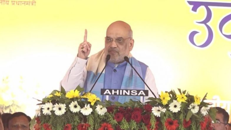 Madhya Pradesh Assembly Election 2023: Step Up Efforts To Win All Assembly Seats in Chhindwara, Amit Shah Tells BJP Workers