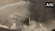 Roshanara Road Factory Fire: Four-Storey Building Collapses in Delhi After Massive Blaze (Watch Video)