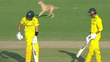 Dog Enters Field, Rohit Sharma Breaks Into Laughter As Groundsmen Chase It During IND vs AUS 3rd ODI 2023 (Watch Video)