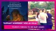 After &lsquo;Elephant Whisperers&rsquo; Bags An Oscar; Tourists Throng To See Baby Jumbo Featuring In Guneet Monga&rsquo;s Documentary