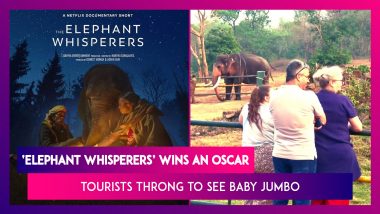 After ‘Elephant Whisperers’ Bags An Oscar; Tourists Throng To See Baby Jumbo Featuring In Guneet Monga’s Documentary
