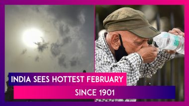 India Sees Hottest February Since 1901; To Experience Heat Waves This Year