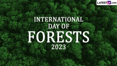 International Day of Forests 2023 Date and Theme: Know History and Significance of the Day That Highlights the Importance of Forests