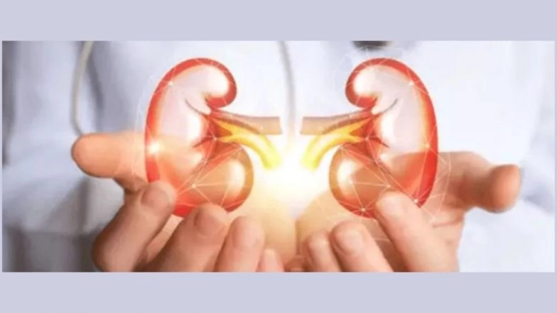 Experience Relief From Diabetic Kidney Disease