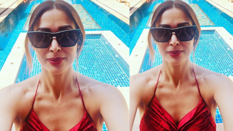 Malaika Arora's Pool Selfie in Red Bikini From Goa Will Make You Go on a Vacay ASAP!