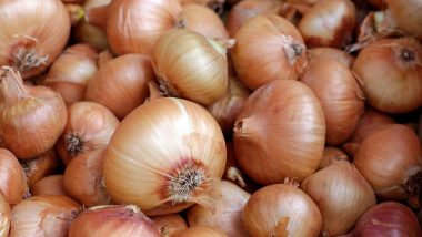 Nashik: Farmer Lights Bonfire of Onions in Protest Against Government As Prices Tumble