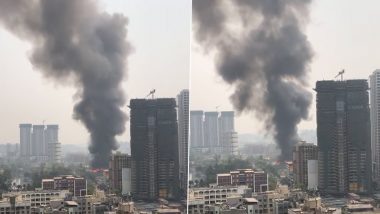 Jogeshwari Fire: Major Blaze Erupts at Furniture Godown in Ghas Compound; No Casualty Reported (Watch Videos)