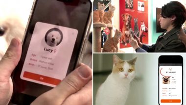 South Korea's AI-Driven Petnow App Identifies Pets by Their Noseprints, Helps Reunite Lost Pets With Their Owners (Watch Video)