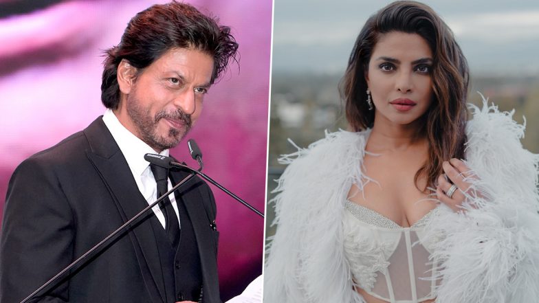 Priyanka Chopra Reacts to Shah Rukh Khan's Comment on Not Moving to Hollywood, Says 'Comfortable is Boring’ (Watch Video)