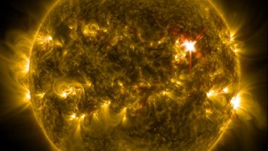 Solar Flare Latest News: Sun Emits Strong Solar Flare, NASA's Solar Dynamics Observatory Captures Image of the Celestial Event