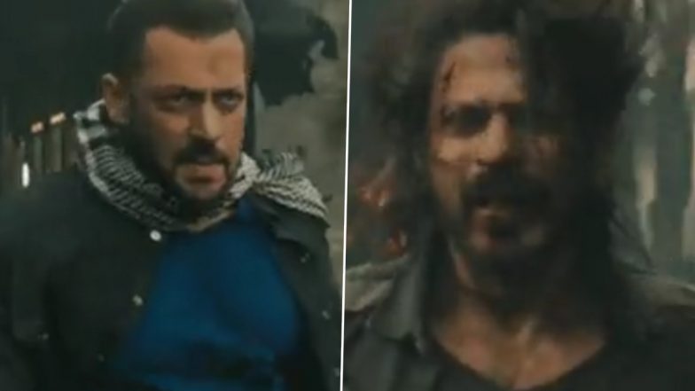 Tiger vs Pathaan: Shooting of Salman Khan and Shah Rukh Khan Starrer To Begin From January 2024 – Reports