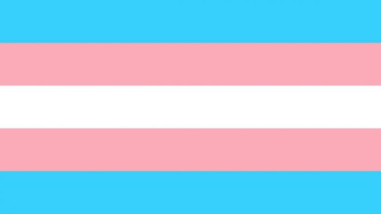 International Transgender Day of Visibility 2023 Date, Significance, Quotes and Messages: Netizens Share Greetings, Wishes and Photos To Celebrate the Day | ???????? LatestLY