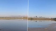 What a Capture! Union Minister Mansukh Mandaviya Shares Video of Speeding Vande Bharat Train's Beautiful Reflection Falling on Water Body