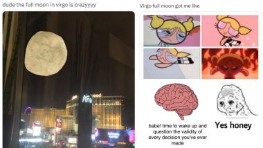 Virgo Full Moon 2023 Funny Memes Go Viral, but What Does Full Moon in Virgo Mean?