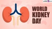 World Kidney Day 2023 Date: Know History and Significance of the Day That Raises Awareness of the Importance of the Kidneys