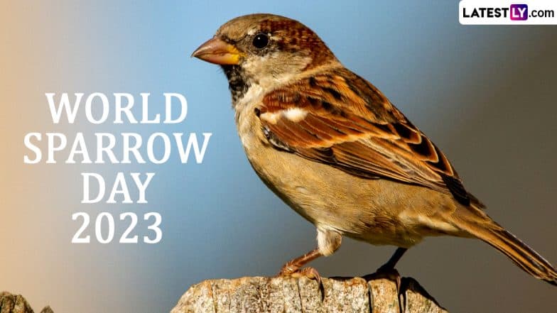 World Sparrow Day 2023 Date and Theme: Know the History and